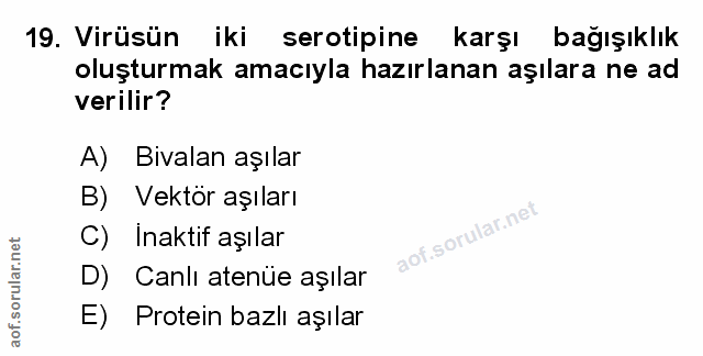 Soru 19