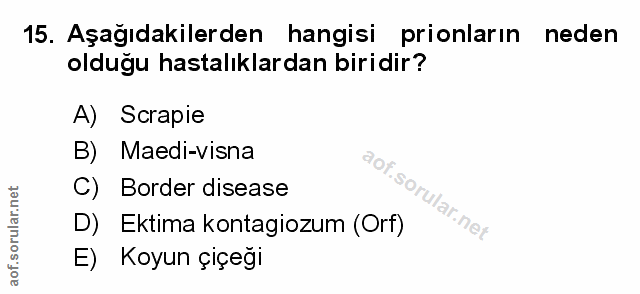 Soru 15