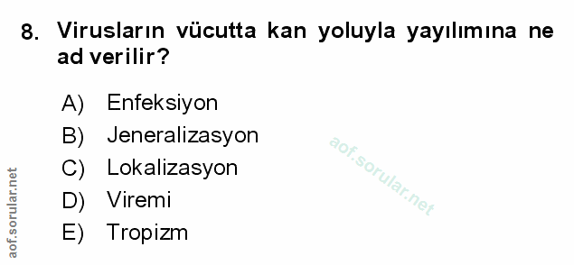 Soru 8