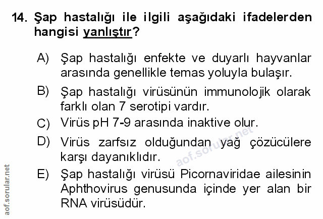 Soru 14