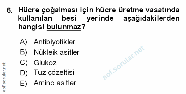 Soru 6
