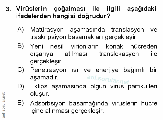 Soru 3