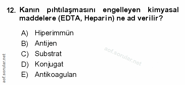 Soru 12