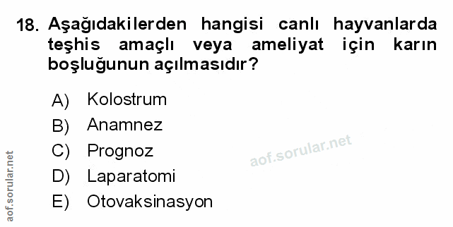 Soru 18