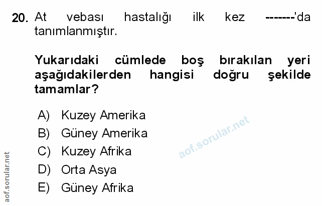 Soru 20