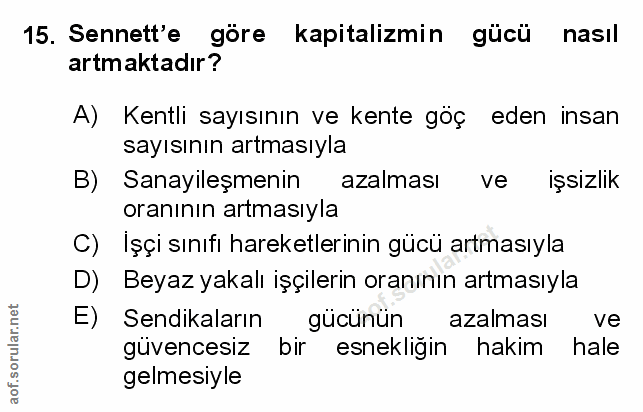 Soru 15