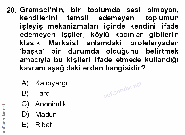 Soru 20