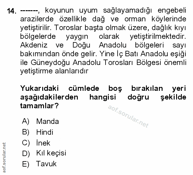 Soru 14