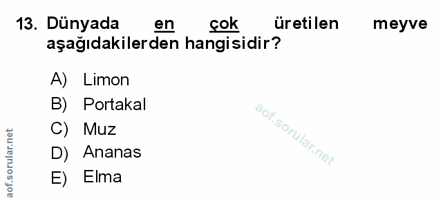 Soru 13
