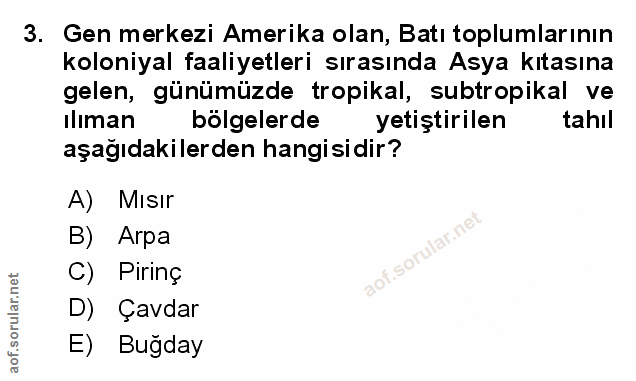 Soru 3