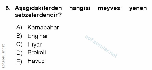 Soru 6