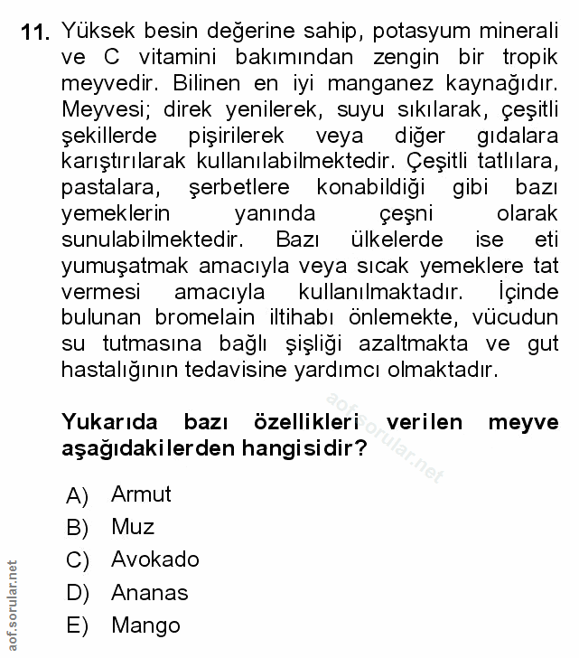 Soru 11