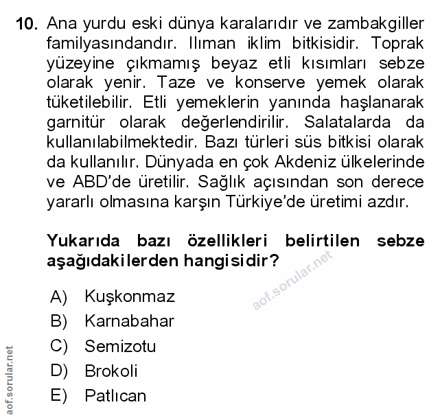 Soru 10