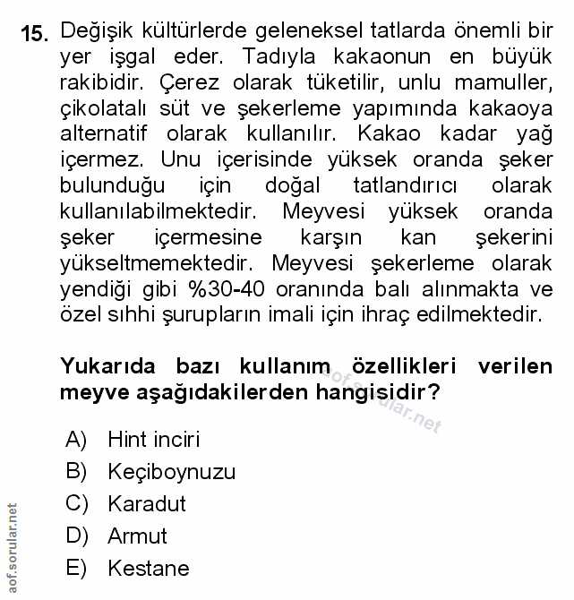 Soru 15