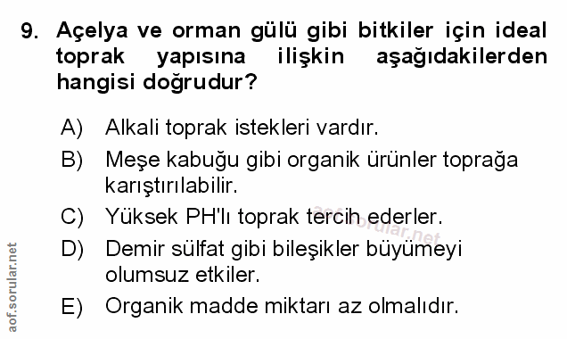 Soru 9