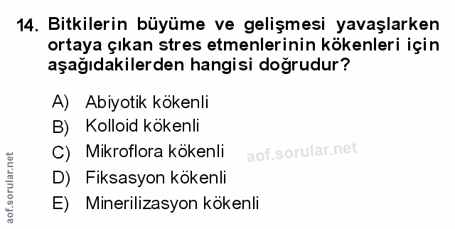 Soru 14