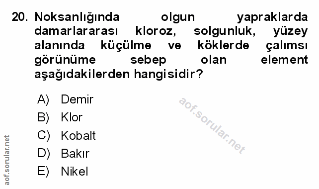 Soru 20
