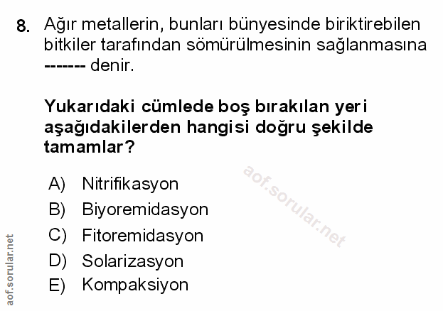 Soru 8