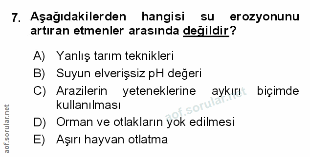 Soru 7