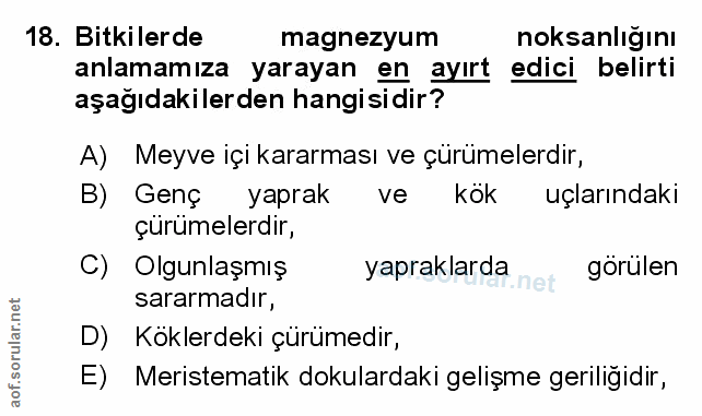 Soru 18