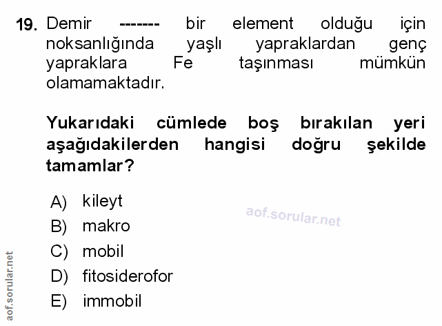 Soru 19