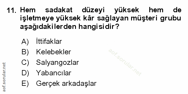Soru 11