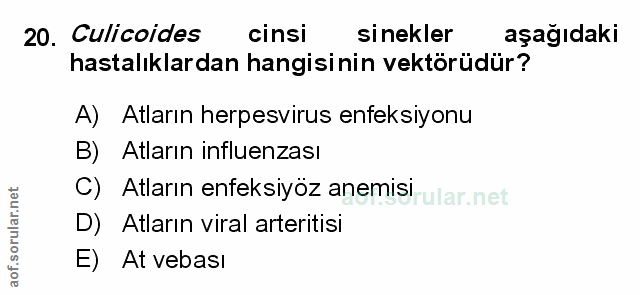 Soru 20