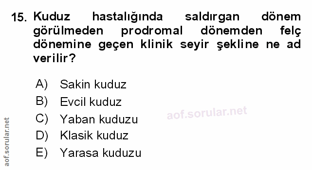Soru 15