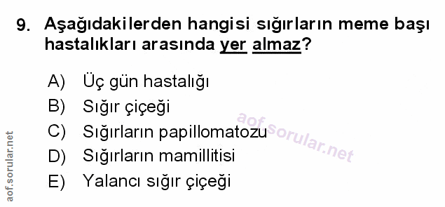 Soru 9
