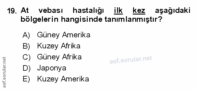 Soru 19