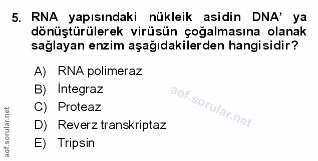 Soru 5