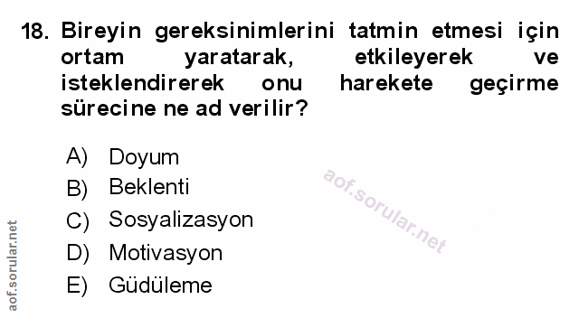 Soru 18