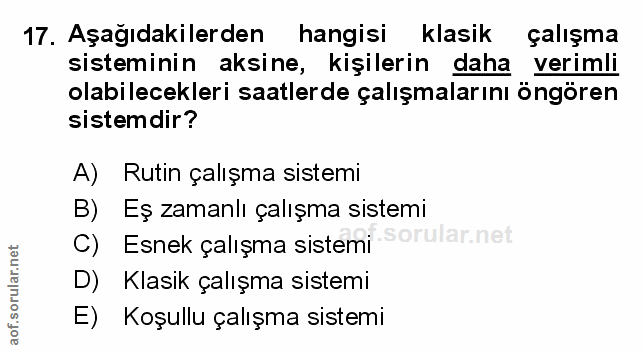 Soru 17