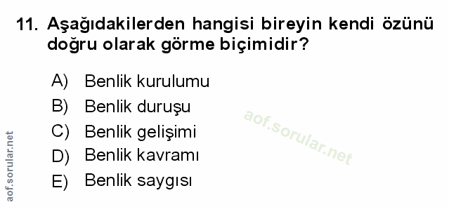 Soru 11