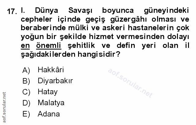 Soru 17