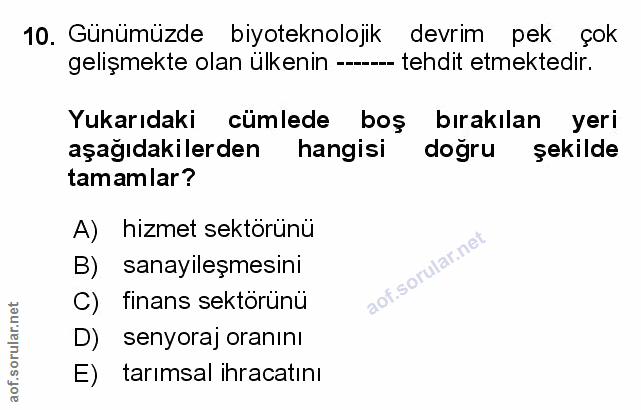 Soru 10