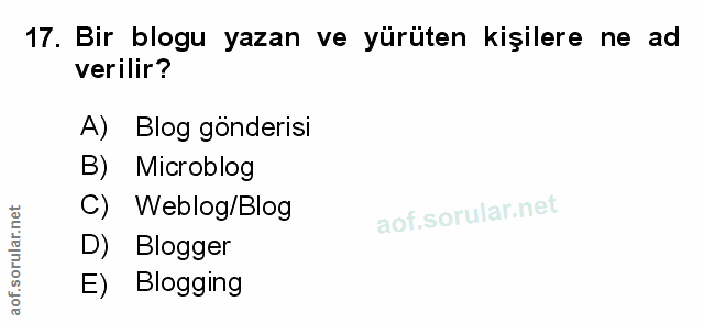 Soru 17