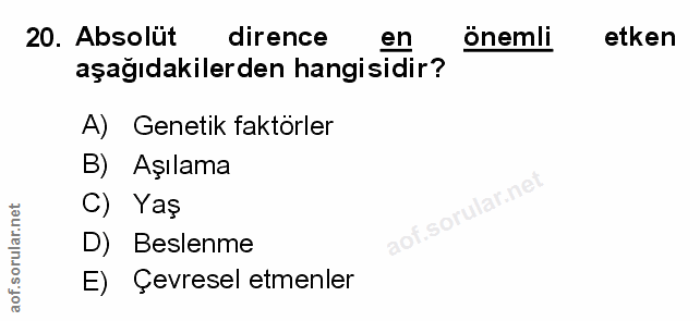 Soru 20