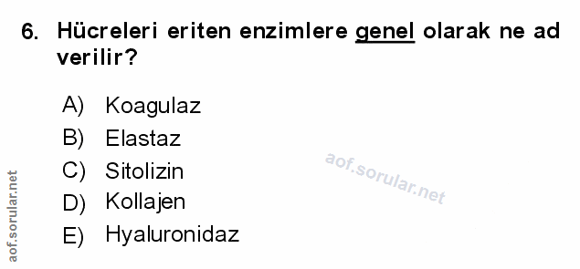 Soru 6