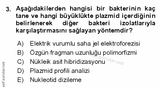 Soru 3