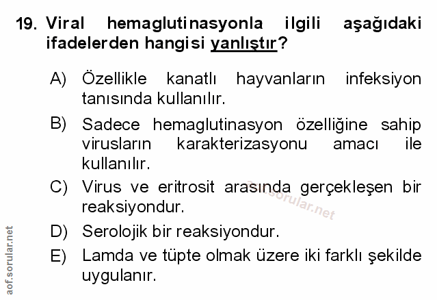 Soru 19