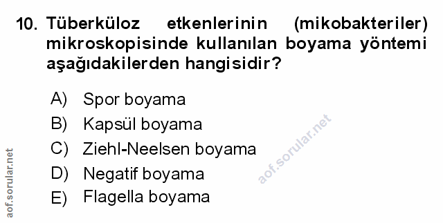 Soru 10
