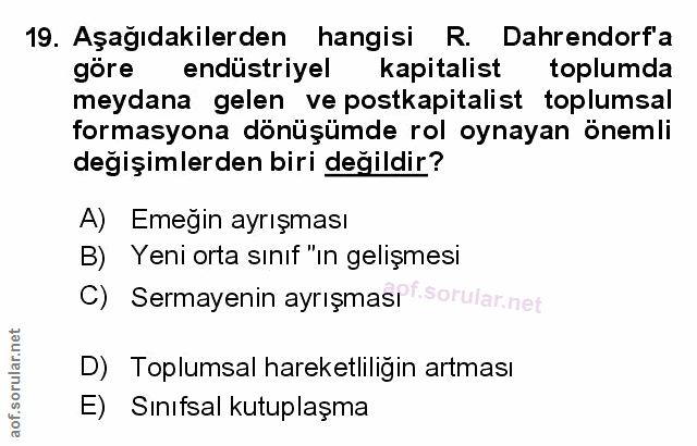 Soru 19