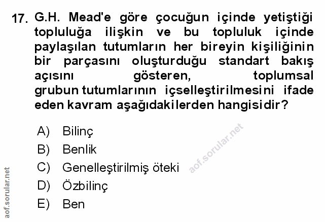 Soru 17