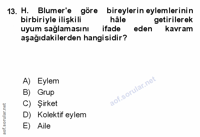Soru 13