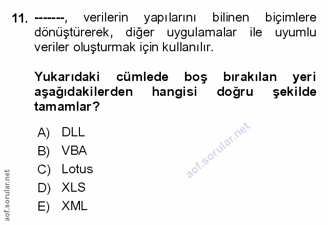 Soru 11
