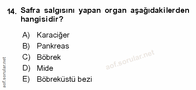 Soru 14