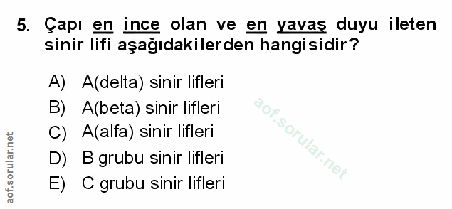 Soru 5