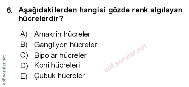 Soru 6