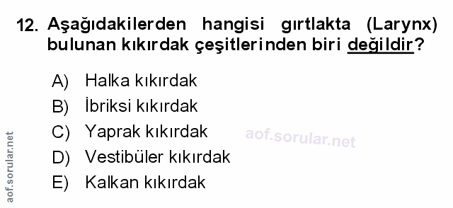 Soru 12